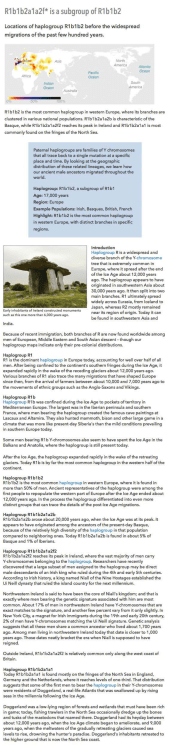 R1 b1 b2a1 a2f* is a subgroup of R1 b1 b2