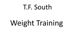 Dips Incline Flyes Flat Chest Flies