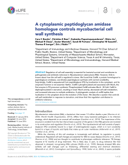 A cytoplasmic peptidoglycan amidase homologue controls