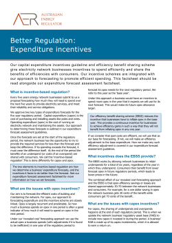 expenditure incentives - Australian Energy Regulator