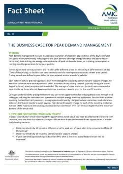 21 08 Fall The Business Case for Peak Demand Management