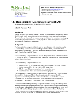 The Responsibility Assignment Matrix (RAM)