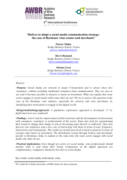 Motives to adopt a social media communication strategy: the case of