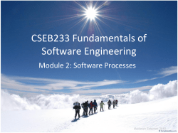 A software process