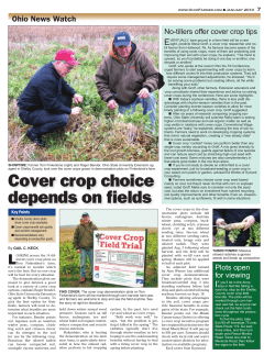 Cover crop choice depends on fields