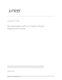 Junos&reg; OS Routing Matrix with a TX Matrix