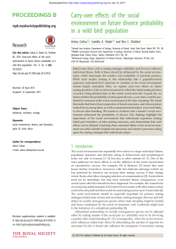 Carry-over effects of the social environment on future divorce