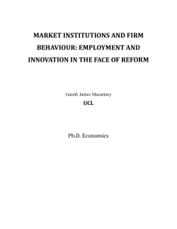 Market institutions and firm behaviour: employment