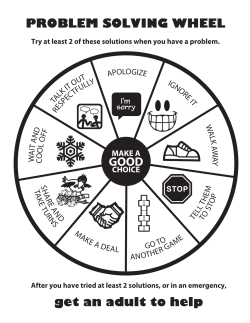 problem solving wheel