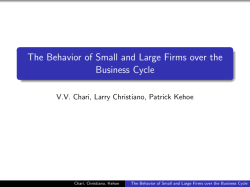 The Behavior of Small and Large Firms over the
