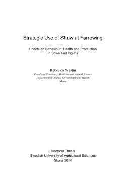 Strategic Use of Straw at Farrowing - Epsilon Open Archive