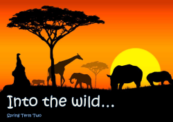 Spring Term 2 2016 Into the wild