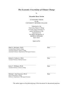 The Economic Uncertainty of Climate Change