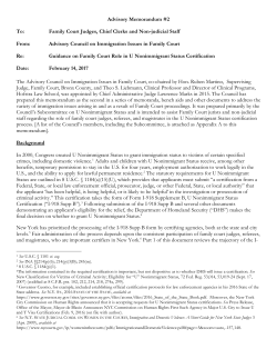 Advisory Council on Immigration Issues in Family Court