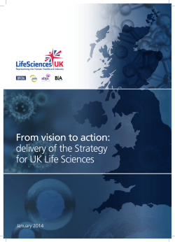 From Vision to Action: Delivery of the Strategy for UK Life