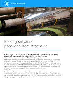 Making sense of postponement strategies