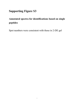 Mitochondrial Protein Oxidation (Carbonylation) Contributes