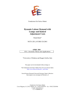 Dynamic Labour Demand with Lumpy and Kinked Adjustment Costs