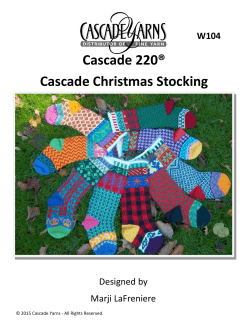 Cascade 220® Cascade Christmas Stocking