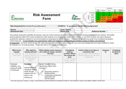 Flexible Working Risk Assessment Form and Action Plan