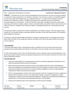 Team Lead, Consultant