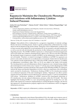 Rapamycin Maintains the Chondrocytic Phenotype and