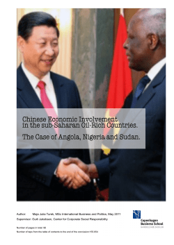 Topic: South-South economic cooperation &ndash; new colonialism or a