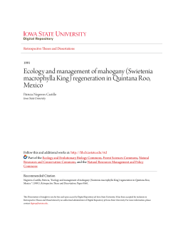 Ecology and management of mahogany