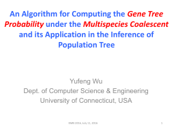 An Algorithm for Computing the Gene Tree Probability under the