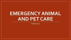 Emergency Animal and Pet Care