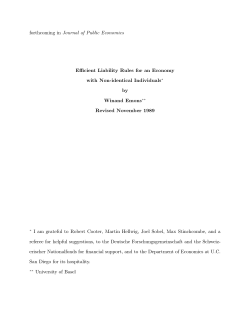 Efficient Liability Rules for an Economy with Non