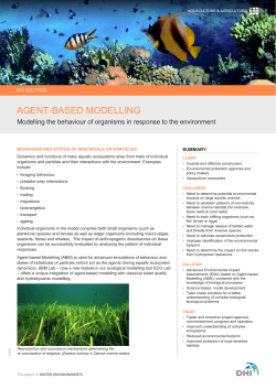 agent-based modelling