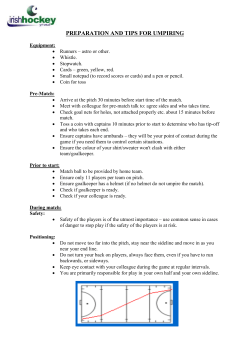 preparation and tips for umpiring
