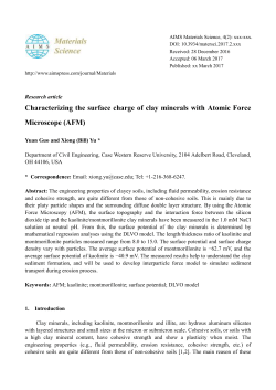 Characterizing the surface charge of clay minerals with