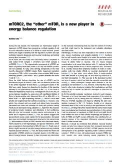 mTORC2, the ``other`` mTOR, is a new player in energy balance