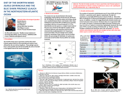 Diapositiva 1 - ResearchGate