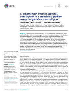 C. elegans GLP-1/Notch activates transcription in a probability