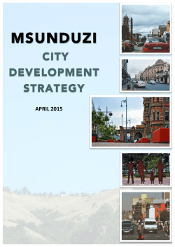 Msunduzi City Development Strategy