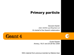 GSantin_Geant4_Annecy08_PrimaryParticle_v05