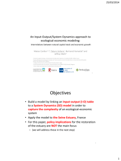 An Input-Output/System Dynamics approach to ecological