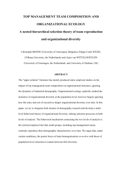 TOP MANAGEMENT TEAM COMPOSITION AND