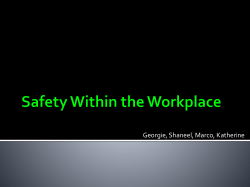 Safety Within the Workplace - legalstudies-HSC-aiss