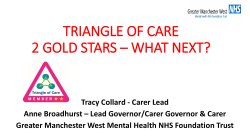 Triangle of Care 2 Gold Stars * What Next?