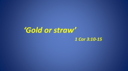 Gold or straw - Bellarine Peninsula Church of Christ