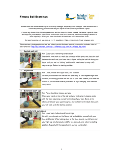 Fitness Ball Exercises
