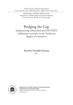 Bridging the Gap - UmU DiVA portal