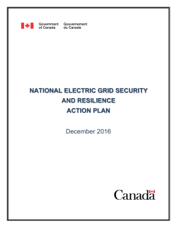 National Electric Grid Security and Resilience Action Plan
