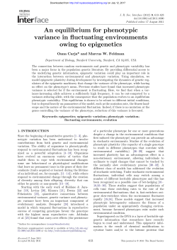 An equilibrium for phenotypic variance in fluctuating environments