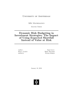 Dynamic Risk Budgeting in Investment Strategies: The