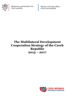 Implementation of the Multilateral Development Cooperation Strategy